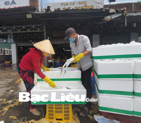 Bạc Liêu: Quyết tâm cùng với cả nước gỡ “thẻ vàng” EC