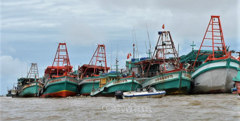 Có phương án đảm bảo an toàn phòng dịch cho ngư phủ vào bờ