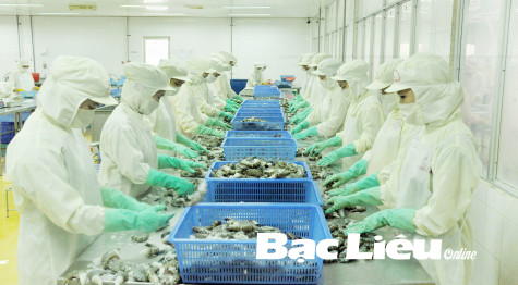Bạc Liêu: Quyết tâm hoàn thành chỉ tiêu giảm nghèo năm 2021