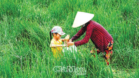 Sản vật mùa mưa