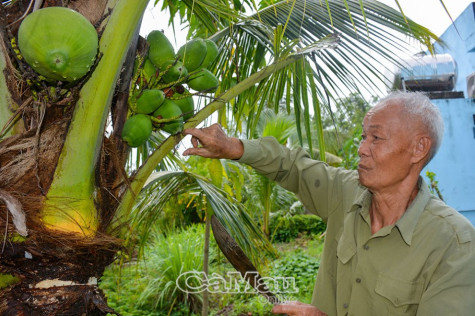 Gia đình cách mạng gương mẫu