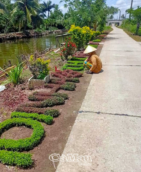 Vì một Thới Bình xanh