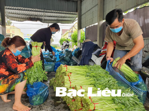 Nông dân Bạc Liêu: Đồng lòng phòng chống dịch, yên tâm sản xuất