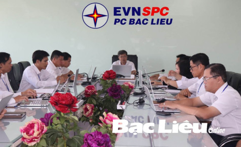 Công ty Điện lực Bạc Liêu: Triển khai kế hoạch chuyển đổi số giai đoạn 2021 - 2022 và định hướng đến năm 2025