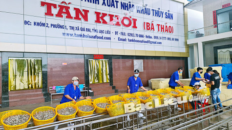 Các doanh nghiệp chủ động phòng chống dịch bệnh, duy trì sản xuất