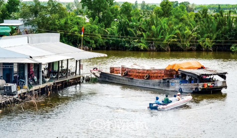 Chống dịch trên sông