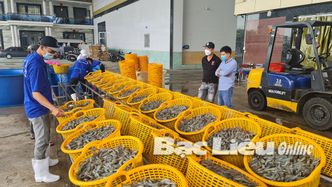 Bộ NN&PTNT: Tổ chức trực tuyến diễn đàn “Kết nối cung cầu sản phẩm trồng trọt trong điều kiện giãn cách phòng, chống COVID-19”