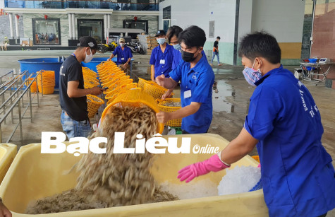 Tiêu thụ nông sản trong điều kiện thực hiện giãn cách xã hội theo Chỉ thị 16: Nhiều giải pháp linh động và thiết thực