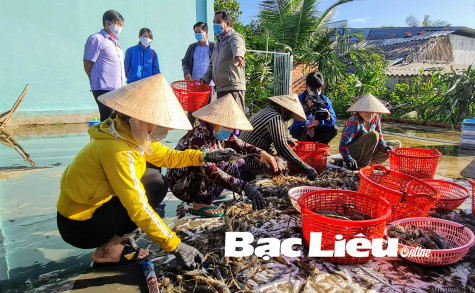 Sở NN&PTNT: Khảo sát thực tế tiêu thụ nông sản tại 2 huyện Hồng Dân và Phước Long