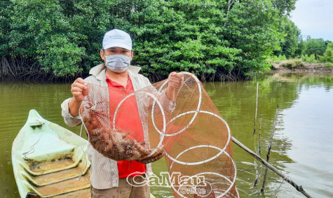 Tạo động lực phát triển kinh tế