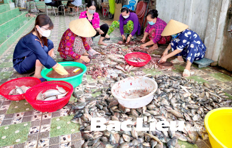 TP. Bạc Liêu và huyện Đông Hải: Người dân gói bánh tét và làm cá khô tặng TP. Hồ Chí Minh
