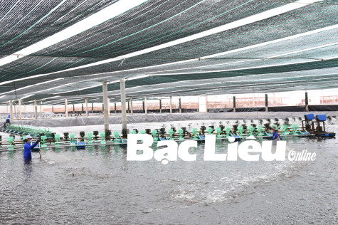 Nghị quyết 06 về đẩy mạnh phát triển nông nghiệp công nghệ cao: Nâng tầm giá trị hàng nông sản