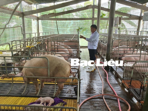 Ngành Chăn nuôi: Đảm bảo nguồn cung thực phẩm cho người tiêu dùng