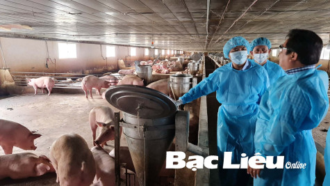 Quyết liệt ngăn chặn dịch tả heo châu Phi bùng phát