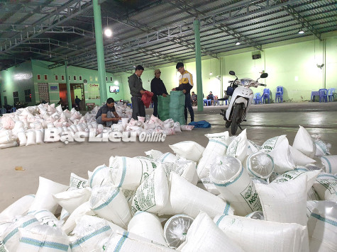 Tôm giống xuất, nhập tỉnh giảm khoảng 60%