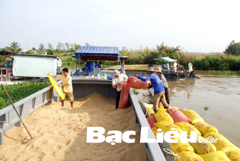 Tiêu thụ hàng nông - thủy sản trong điều kiện dịch COVID-19: Không để nghẽn mạch