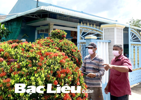 Xây dựng đời sống văn hóa cơ sở: Quyết tâm giữ “lửa” trong mùa dịch