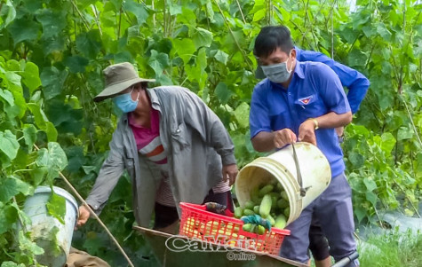 Ðẩy mạnh tăng gia sản xuất