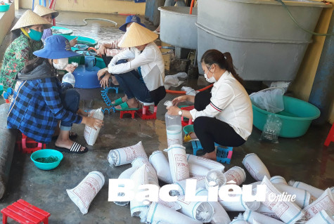 Tháo gỡ khó khăn trong tiêu thụ tôm giống: Không để chuỗi sản xuất bị gãy