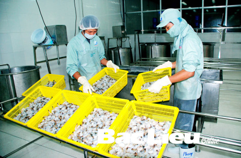 Vùng sản xuất phía Bắc Quốc lộ 1A: Cần một nghị quyết mới để đột phá và tăng tốc