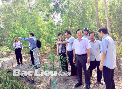 Chương trình phát triển Liên Hiệp Quốc triển khai Chương trình liên kết chuỗi tôm - lúa bền vững năm 2021 tại Bạc Liêu