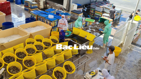 Chính phủ thống nhất giảm tiền điện cho 3 nhóm doanh nghiệp khó khăn do COVID-19