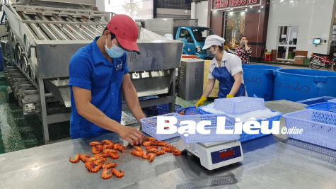 Tiếp tục giảm tiền điện đợt 5 cho khách hàng bị ảnh hưởng bởi dịch COVID-19