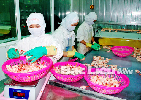 Bạc Liêu: Thực hiện có hiệu quả các giải pháp ứng phó với dịch COVID-19