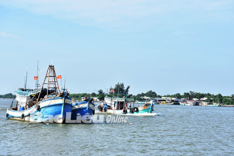 Chủ tịch UBND tỉnh: Cho phép tàu cá hoạt động trở lại nhưng phải đảm bảo cao nhất các yêu cầu phòng, chống dịch