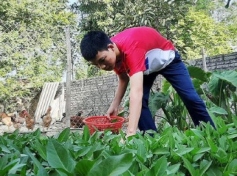 Những ngày giãn cách