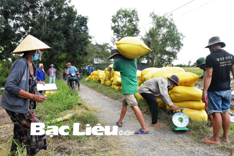 Tạo cơ chế thuận lợi cho việc thực hiện “mục tiêu kép”