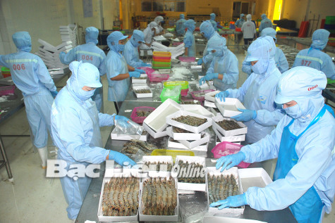 Doanh nghiệp nỗ lực đảm bảo sản xuất phát triển
