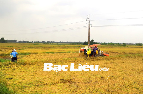 Phân vân một chốn đi về
