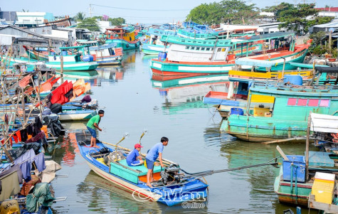 Mưu sinh ven biển