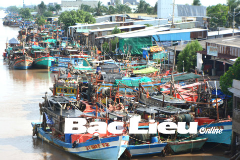 Quyết tâm gỡ cảnh báo “thẻ vàng” của EC