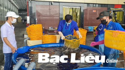 Những quy định pháp luật hỗ trợ khôi phục hoạt động sản xuất - kinh doanh