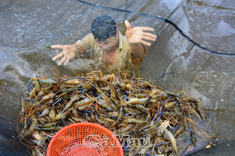 Thủ tướng Chính phủ chỉ đạo thúc đẩy sản xuất, lưu thông, xuất khẩu nông sản