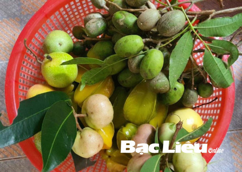 Thơm thảo quà quê những ngày giãn cách