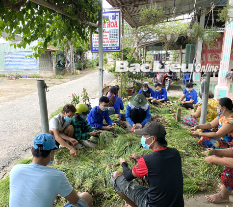 TP. Bạc Liêu: Chủ động ứng phó và giúp dân tiêu thụ nông sản