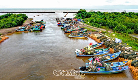 Giữ đê, để  cuộc sống an toàn