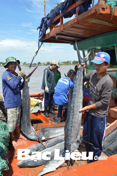 Phê duyệt Quy hoạch tổng thể phát triển hệ thống cảng biển Việt Nam thời kỳ 2021 - 2030, tầm nhìn đến năm 2050: Bạc Liêu có Bến cảng Gành Hào, Bến cảng Vĩnh Hậu A và các bến phao, khu neo đậu chuyển tải, tránh, trú bão