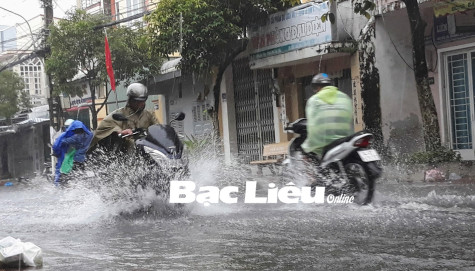 Mưa lớn kéo dài làm nhiều tuyến đường nội ô TP. Bạc Liêu ngập cục bộ