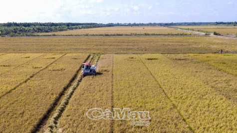 Tạo điều kiện thuận lợi nhất cho phát triển sản xuất