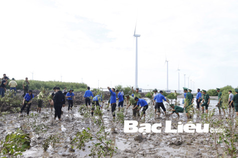 Giá trị rừng phòng hộ ven biển Bạc Liêu