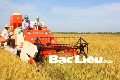 Xây dựng nền nông nghiệp công nghệ cao theo hướng bền vững