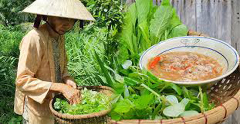 Rau dại miền quê