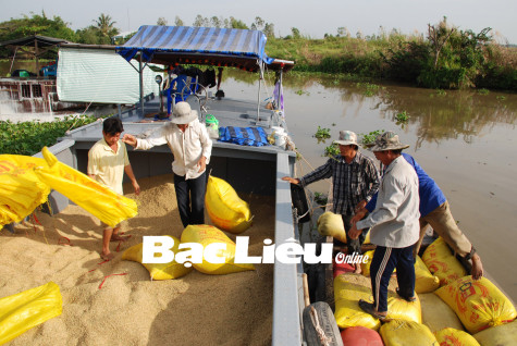 Sản xuất nông nghiệp: Quyết tâm giữ vững tăng trưởng cao