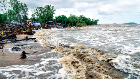 Lùi nhà chạy sóng