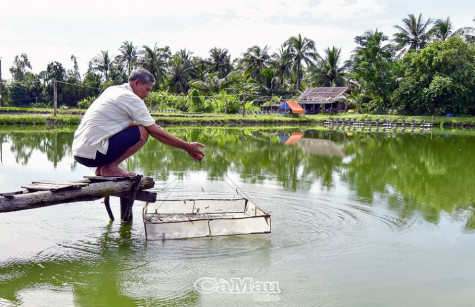 Phục hồi kinh tế và mở cửa từng bước