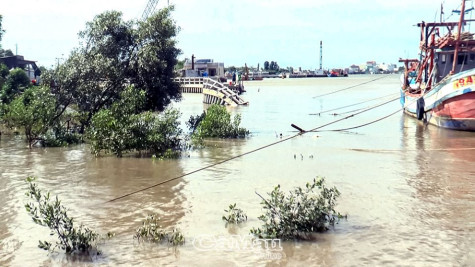 Chủ động ứng phó thiên tai cuối năm